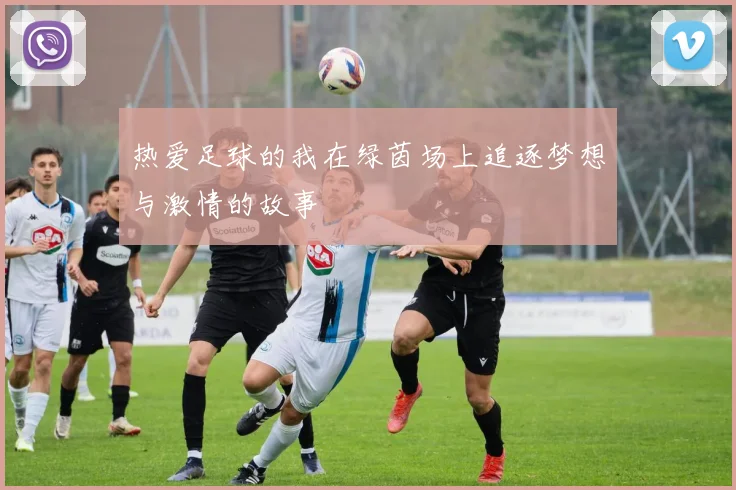 热爱足球的我在绿茵场上追逐梦想与激情的故事