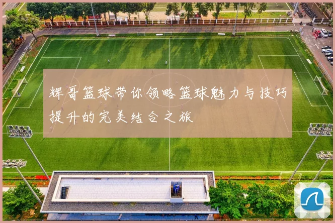 辉哥篮球带你领略篮球魅力与技巧提升的完美结合之旅