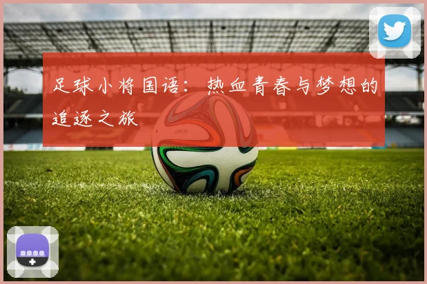 足球小将国语：热血青春与梦想的追逐之旅
