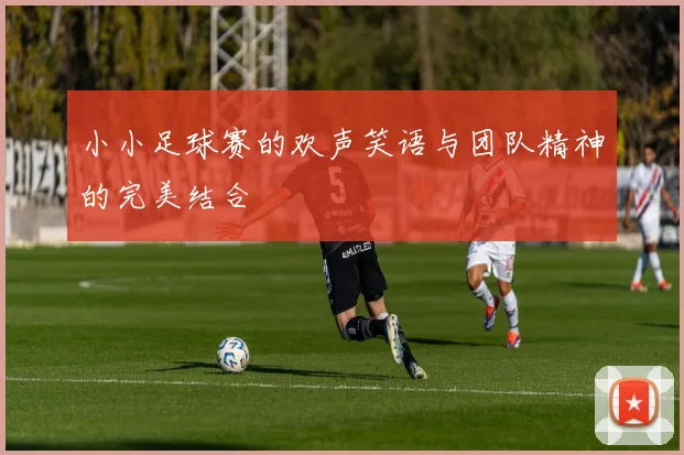 小小足球赛的欢声笑语与团队精神的完美结合