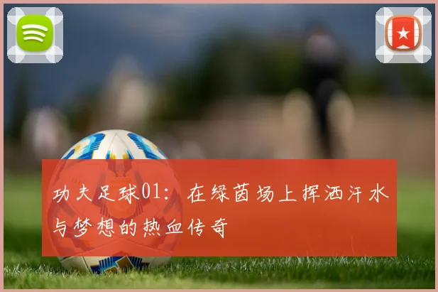 功夫足球01：在绿茵场上挥洒汗水与梦想的热血传奇
