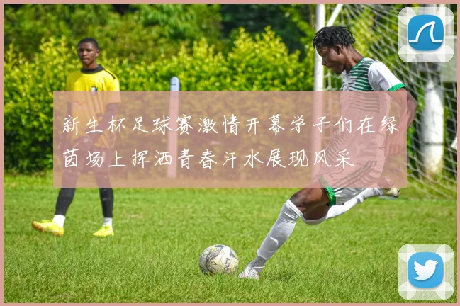 新生杯足球赛激情开幕学子们在绿茵场上挥洒青春汗水展现风采