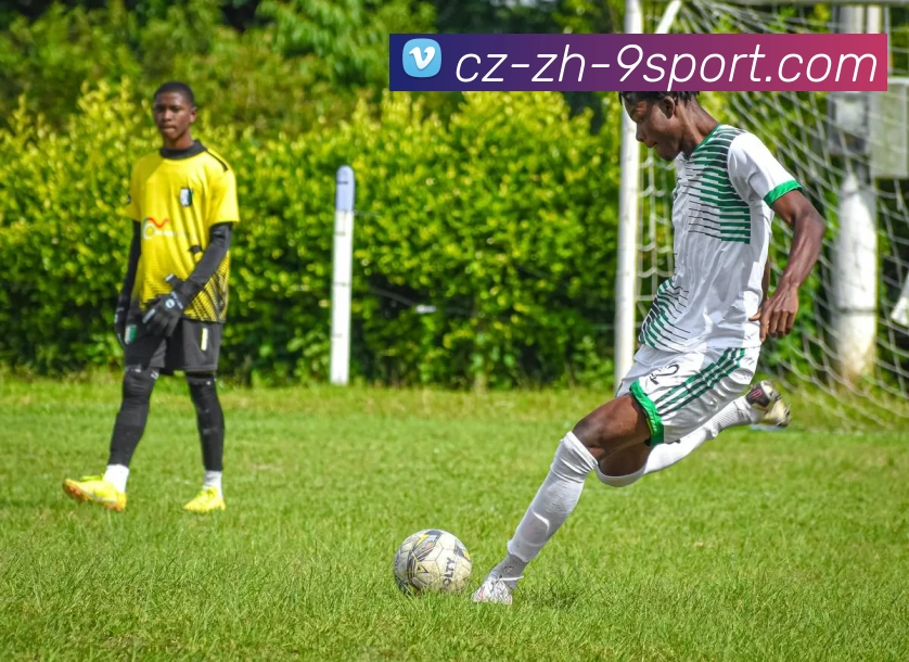 九游体育平台APP 体育赛事宣传图